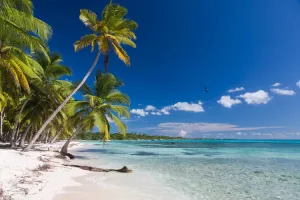 Isla Saona Un Paraiso Tropical