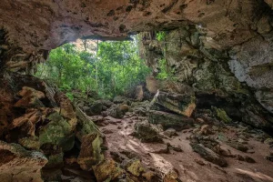 Cueva De Bernard