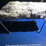 Museo Larimar
