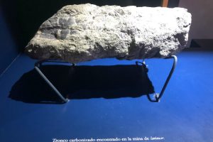 Museo Larimar