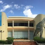 Museonaturalrd Cover Rd