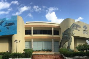 Museonaturalrd Cover Rd