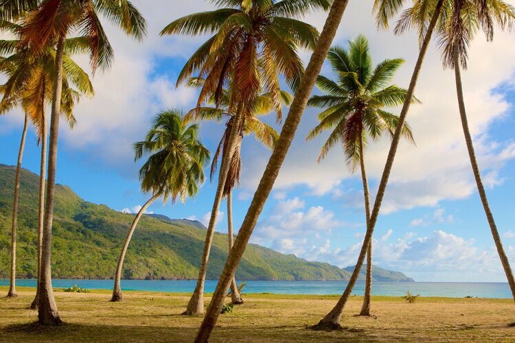 Playa Samana City