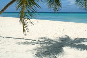 Playas De Punta Cana Playa Bavaro