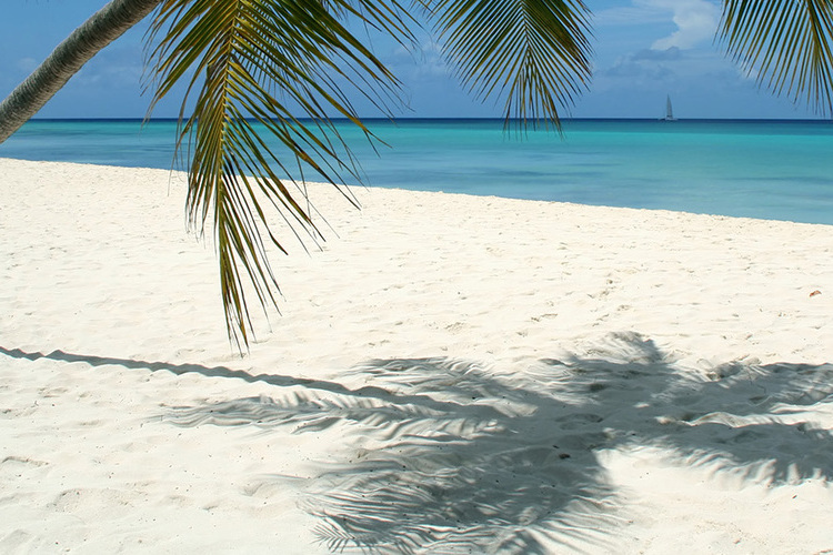 Playas De Punta Cana Playa Bavaro