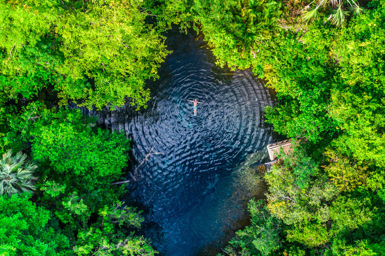 RMP19 Reserva Ecológica Ojos Indígenas. Punta Cana