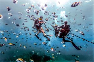 Buceo_terrenaas