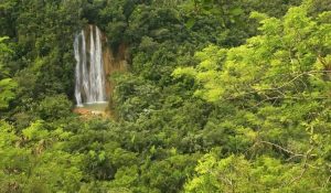 Descubre El Salto Del Limón