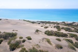 Las Dunas De Bani
