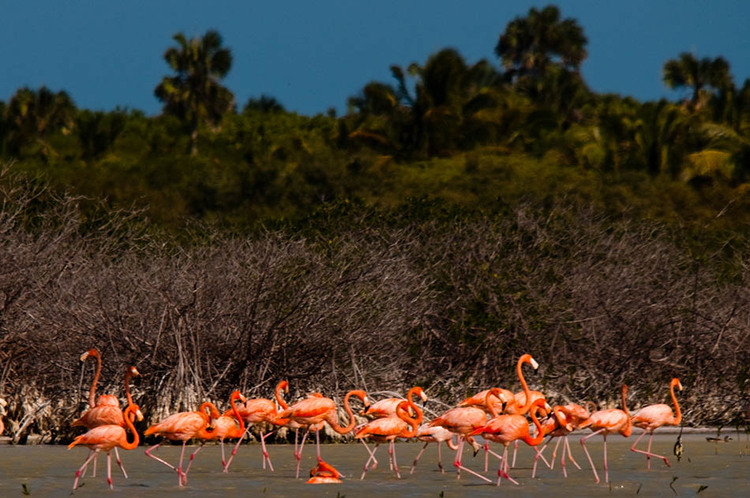 Parque Nacional Jaragua Laguna Oviedo