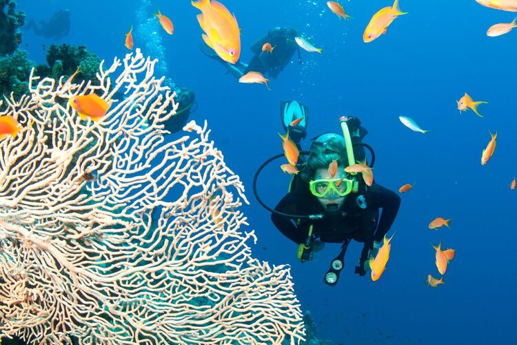 Practica Buceo Seguro