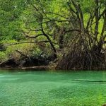 Jaragua (1)