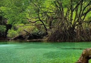 Jaragua (1)