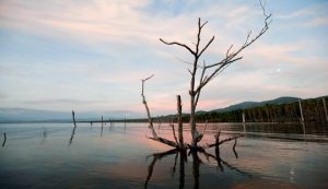 Lago_enriquillo