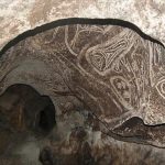 Petroglifos_los_haitises