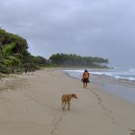 Playa Encuentro Cabarete (1)