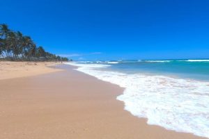Macao Beach In The Dominican