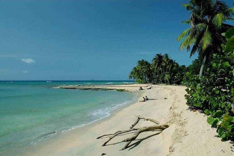Playa Limon Con Punta
