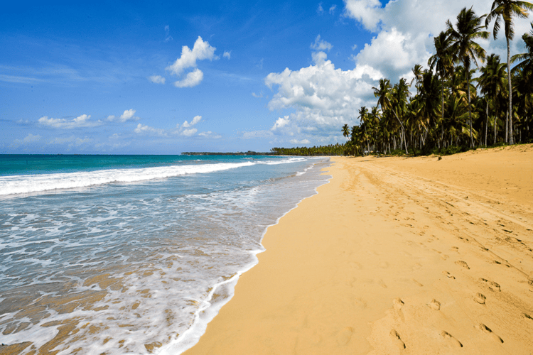 Terrenas_playa_coson_samana