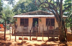 Batey_Los_Danieles_Jaguey_Grande_Matanzas_vecinos_campo_fbb5c8fdc6