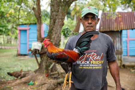 Gallo